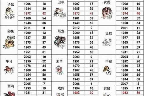 1978 年五行属什么|1978年属什么生肖属相 1978年属什么生肖属相什么命